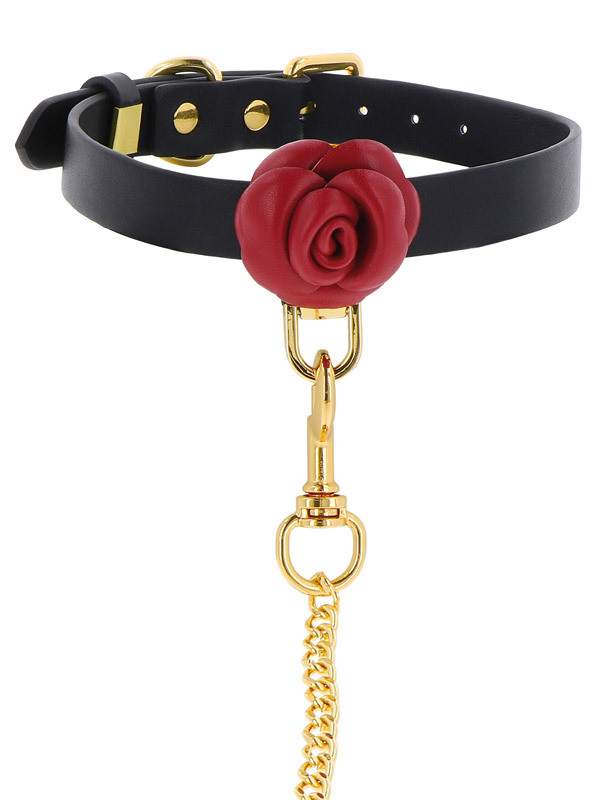 Collier et laisse Wild Roses Taboom BDSM Kit d'attache Oh! Darling